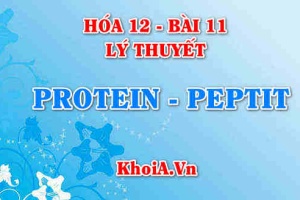 Peptit là gì? Protein là gì? tính chất hoá học, công thức cấu tạo của Peptit và Protein - Hoá 12 bài 11